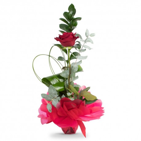 Single Red Rose